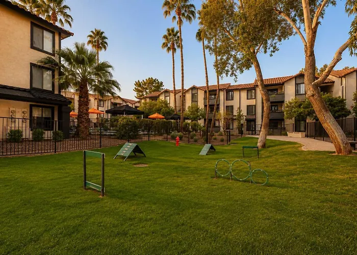 Modern Retreat Near Asu Pool Gym Pet-friendly Parking Apartment Tempe